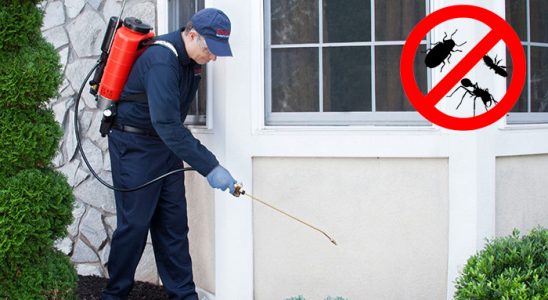 Beyağaç Böcek İlaçlama böcek ilaçlama ve haşere kontrolü — ilaclama-tr.com